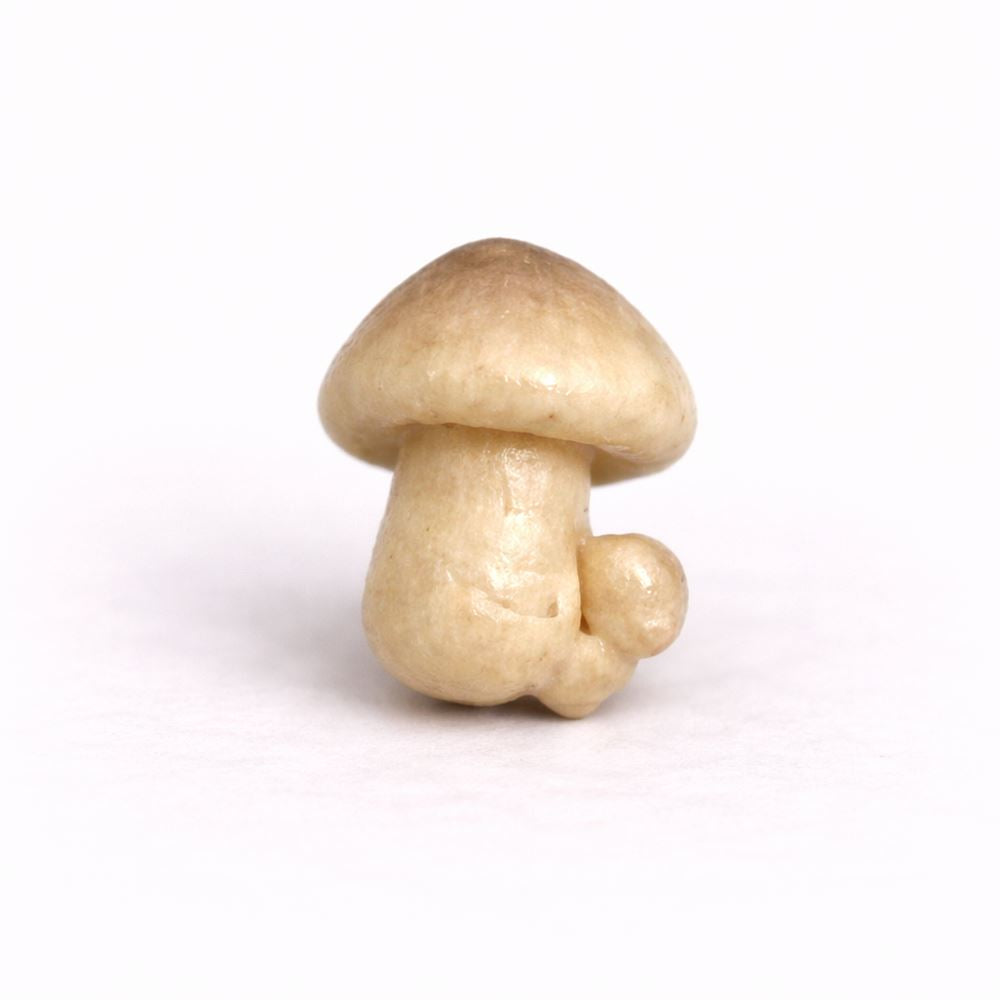 Mini Ceramic, 0.5 to 2 Cm - image 194