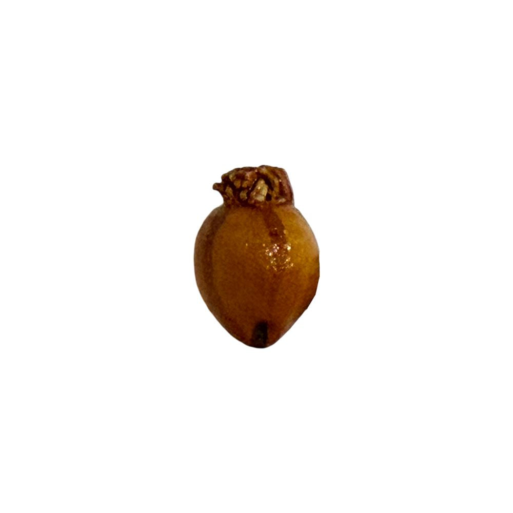 Mini Ceramic, 0.5 to 2 Cm - image 74
