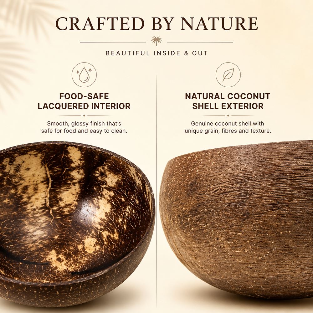 Natural Coconut Shell Bowls, Food-Safe Lacquered Interior, Medium 11-12cm Set