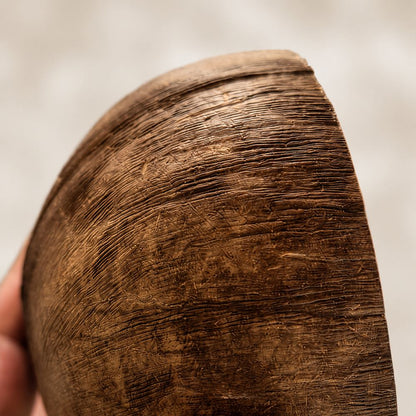 Natural Coconut Shell Bowls, Food-Safe Lacquered Interior Jumbo 14-16cm