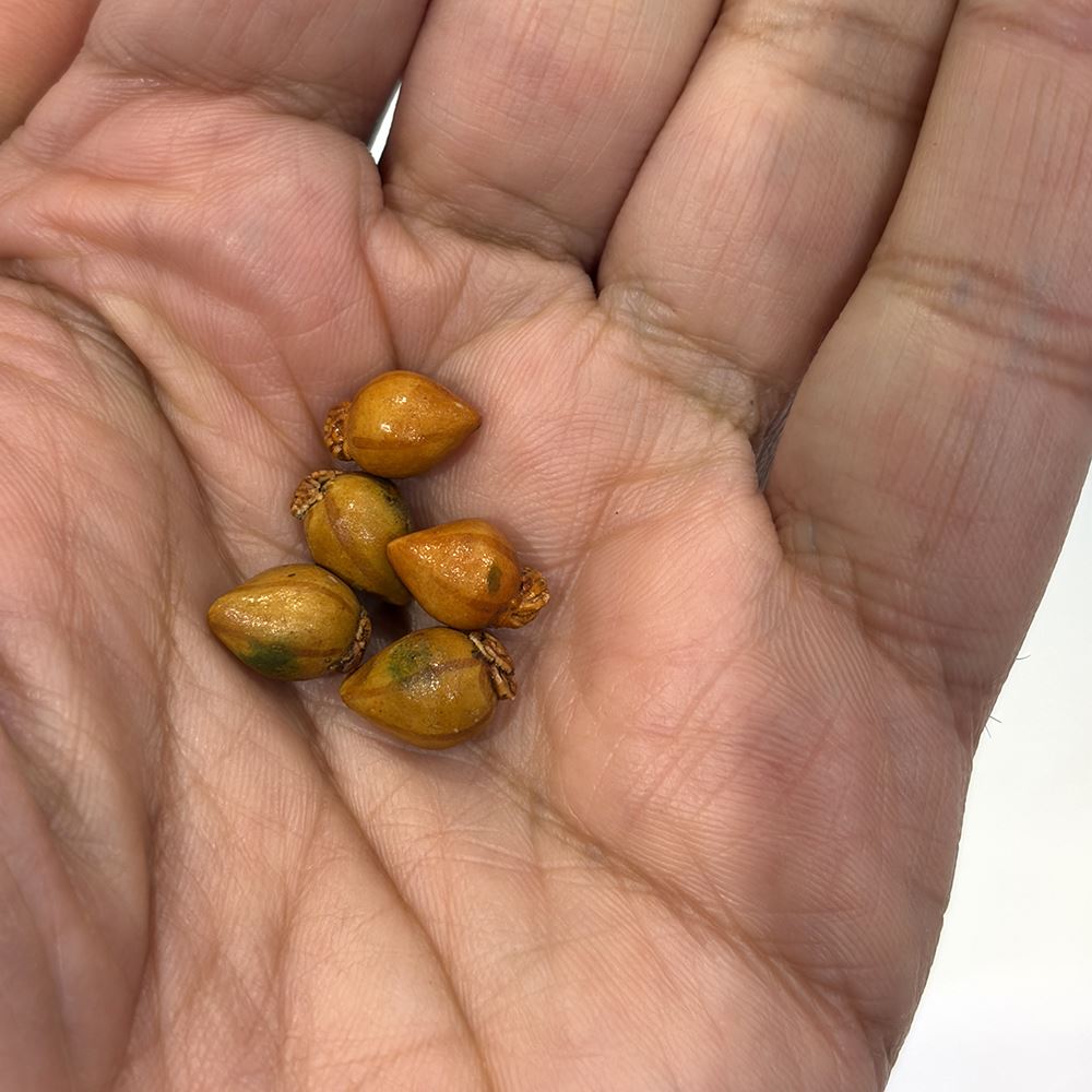 Mini Ceramic, 0.5 to 2 Cm