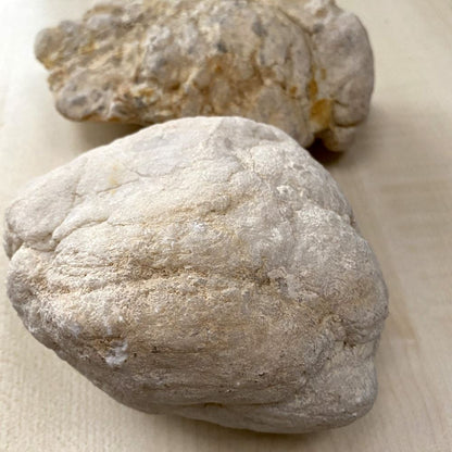 Uncracked Geodes, Medium, 10-13cm, 1kg
