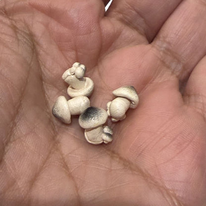 Mini Ceramic, 0.5 to 2 Cm - image 197