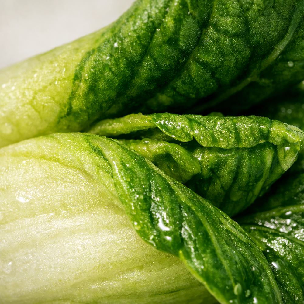 Mini Ceramic, 0.5 to 2 Cm