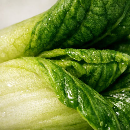 Mini Ceramic, 0.5 to 2 Cm