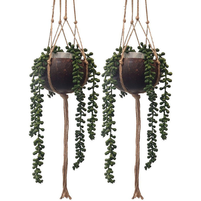 Coconut Shell Pot Holder with a Sturdy Jute Macrame Style Hanging Rope
